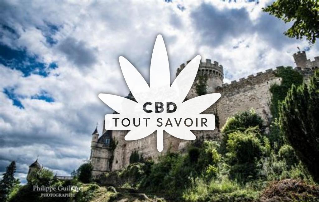 Village à Veauce avec feuille Cannabis CBD