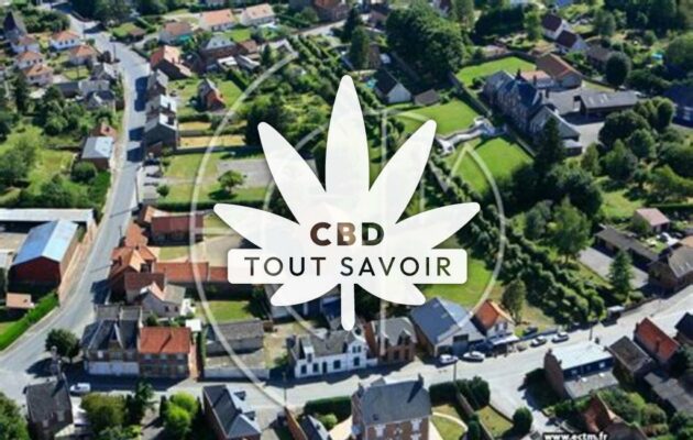 Village à Vendeuil avec feuille Cannabis CBD