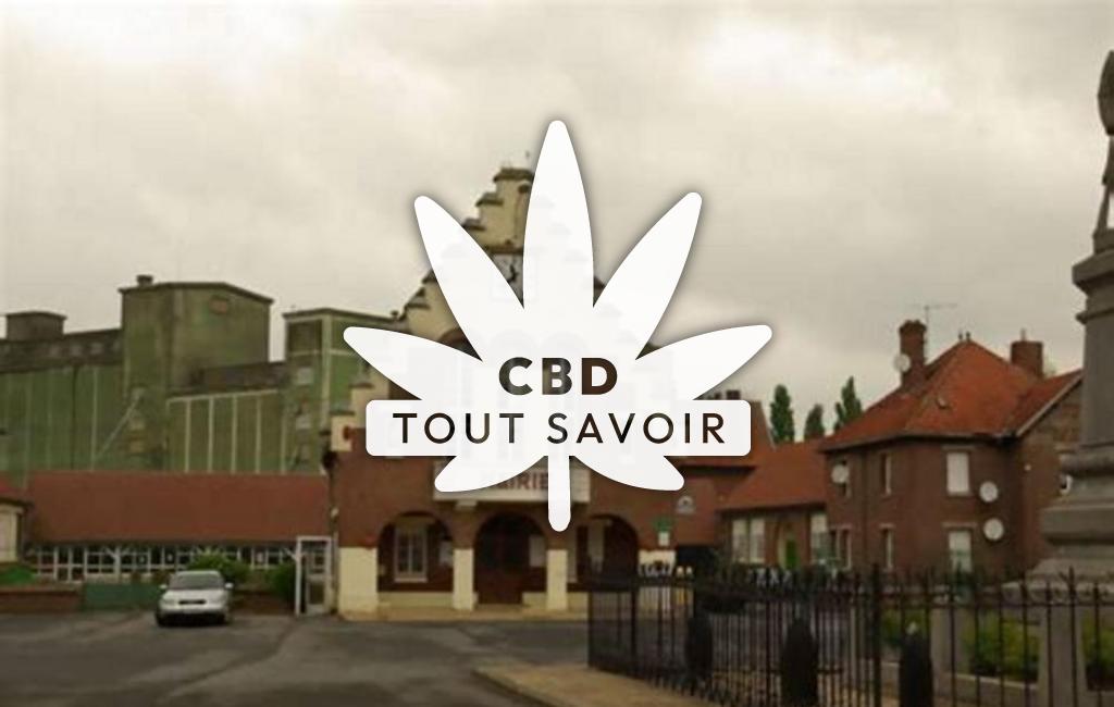 Village à Vendhuile avec feuille Cannabis CBD