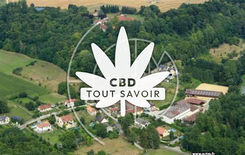 Village à Verneuil-sous-Coucy avec feuille Cannabis CBD