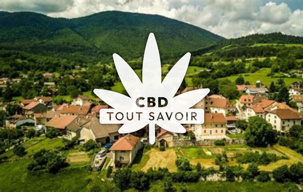 Village à Vesancy avec feuille Cannabis CBD