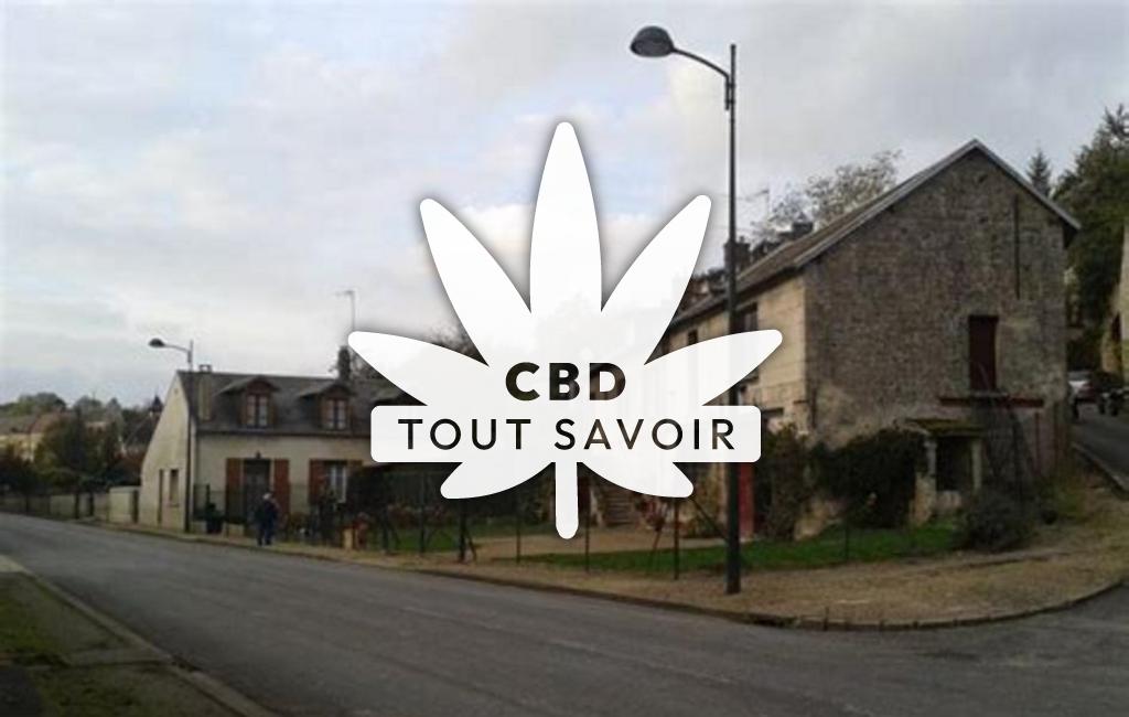 Village à Vierzy avec feuille Cannabis CBD