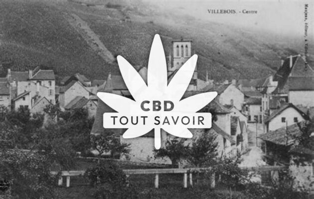 Village à Villebois avec feuille Cannabis CBD