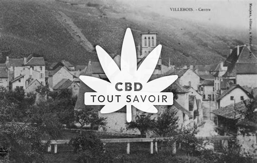 Village à Villebois avec feuille Cannabis CBD