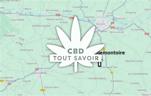 Village à Villemontoire avec feuille Cannabis CBD