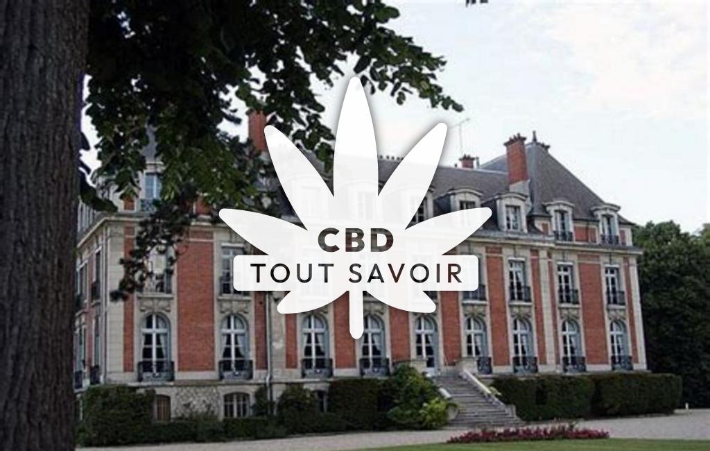 Village à Villeneuve-Saint-Germain avec feuille Cannabis CBD