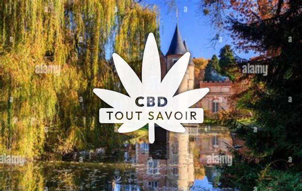 Village à Villeneuve-sur-Allier avec feuille Cannabis CBD