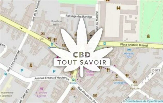 Village à Villers-Cotterets avec feuille Cannabis CBD