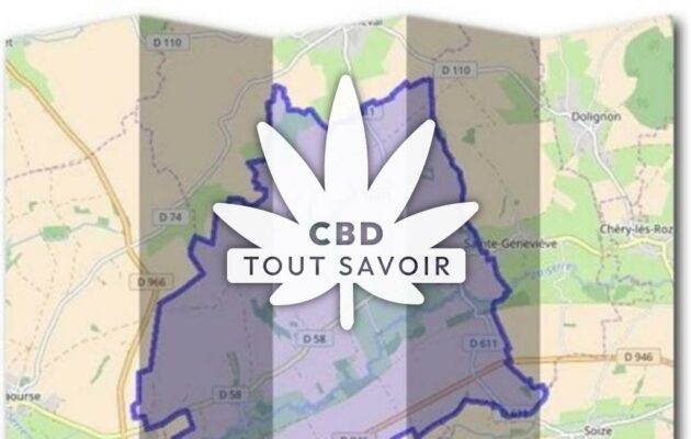 Village à Vincy-Reuil-Et-Magny avec feuille Cannabis CBD