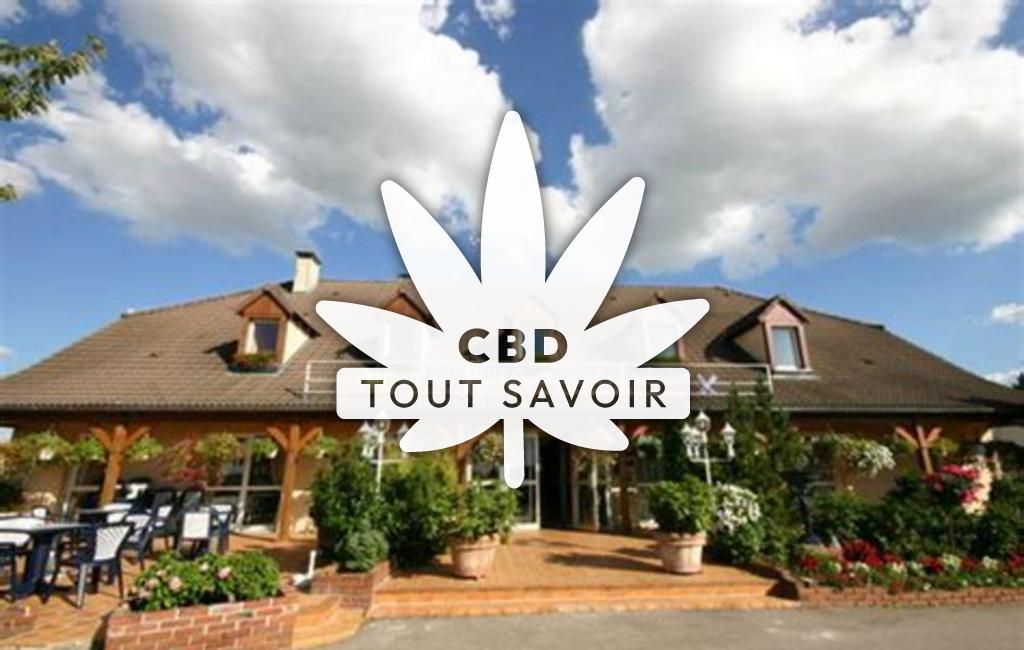 Village à Magnant avec feuille Cannabis CBD