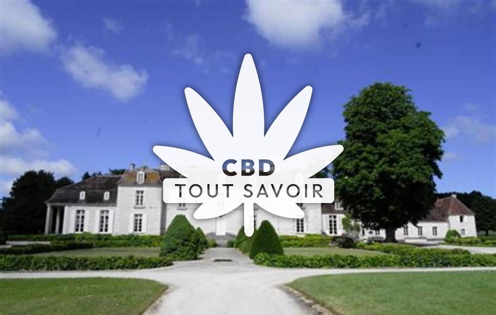 Village à Villemorien avec feuille Cannabis CBD