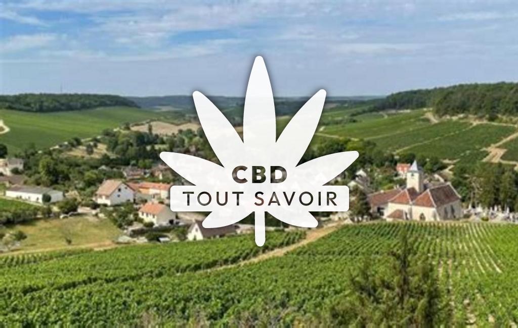 Village à Viviers-sur-Artaut avec feuille Cannabis CBD