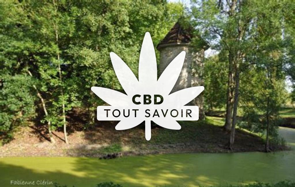 Village à Coursan-en-Othe avec feuille Cannabis CBD