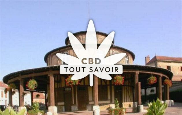 Village à Ervy-le-Chatel avec feuille Cannabis CBD