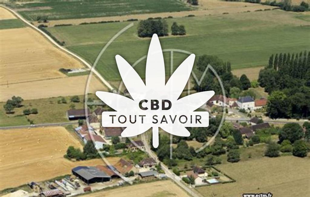 Village à Les-Croutes avec feuille Cannabis CBD