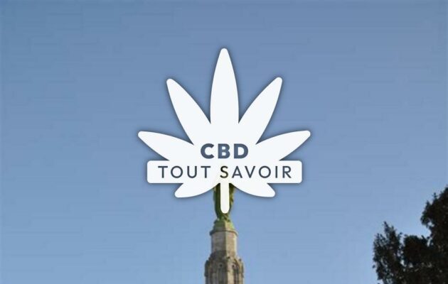 Village à Villeneuve-au-Chemin avec feuille Cannabis CBD