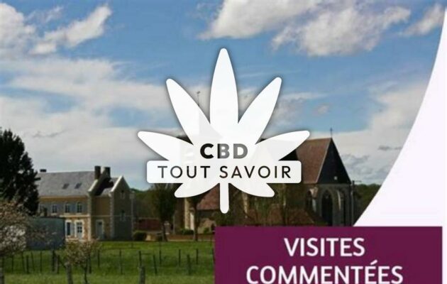 Village à Chessy-les-Pres avec feuille Cannabis CBD