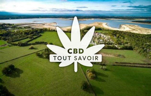 Village à Mesnil-Saint-Pere avec feuille Cannabis CBD