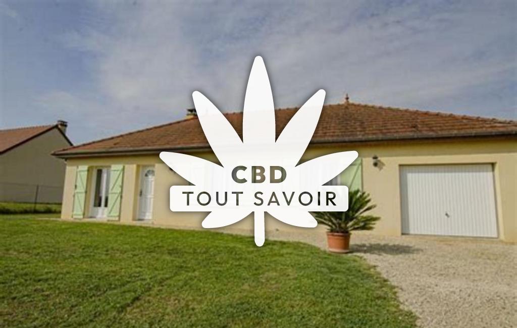 Village à Puits-Et-Nuisement avec feuille Cannabis CBD