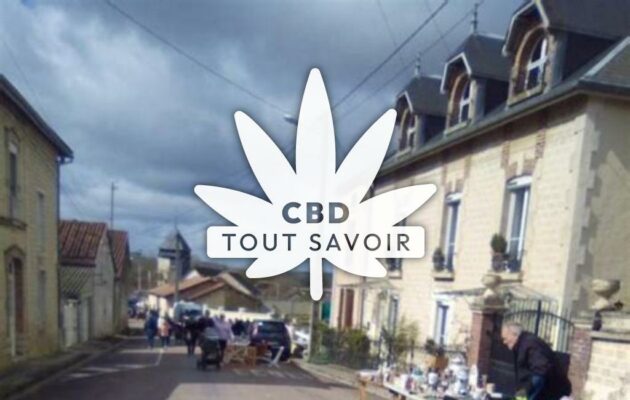 Village à Trannes avec feuille Cannabis CBD