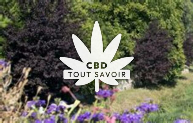 Village à Vendeuvre-sur-Barse avec feuille Cannabis CBD