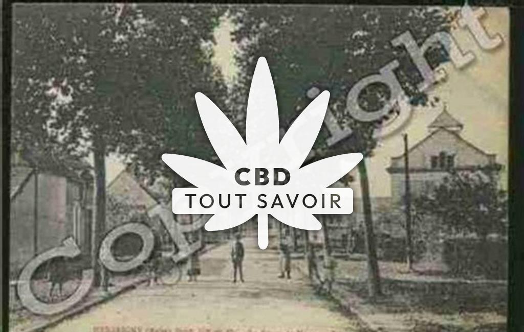 Village à Mesgrigny avec feuille Cannabis CBD