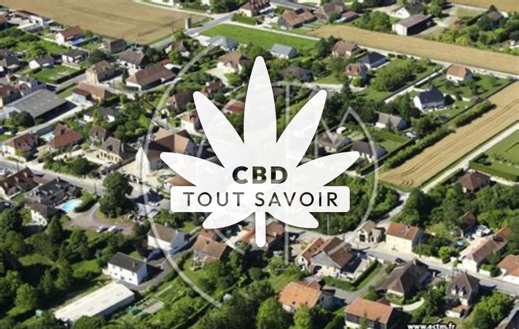 Village à Saint-Benoit-sur-Seine avec feuille Cannabis CBD