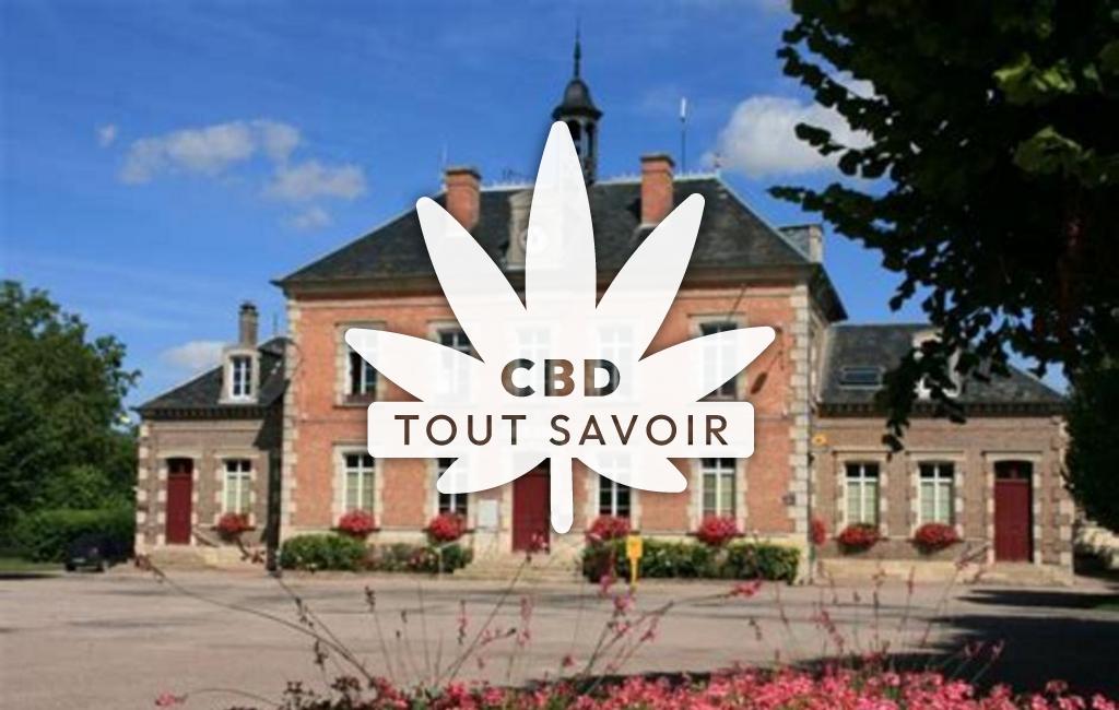 Village à Aix-Villemaur-Palis avec feuille Cannabis CBD