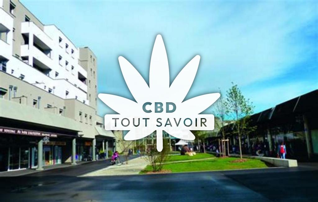 Village à Fontaine avec feuille Cannabis CBD