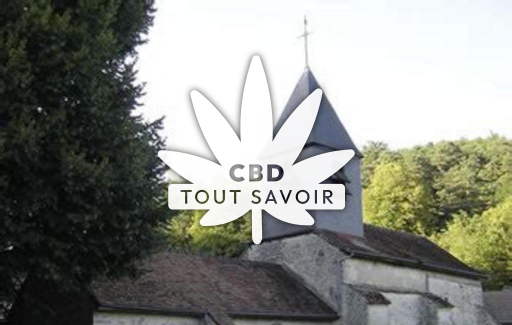 Village à Fravaux avec feuille Cannabis CBD