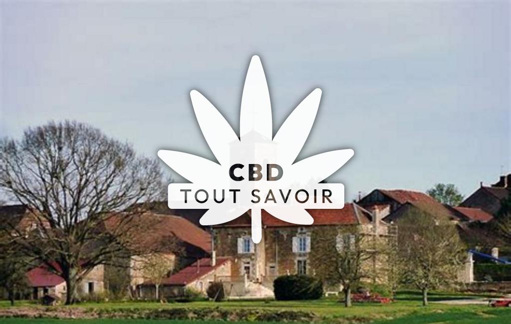 Village à Levigny avec feuille Cannabis CBD