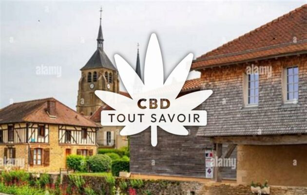 Village à Soulaines-Dhuys avec feuille Cannabis CBD