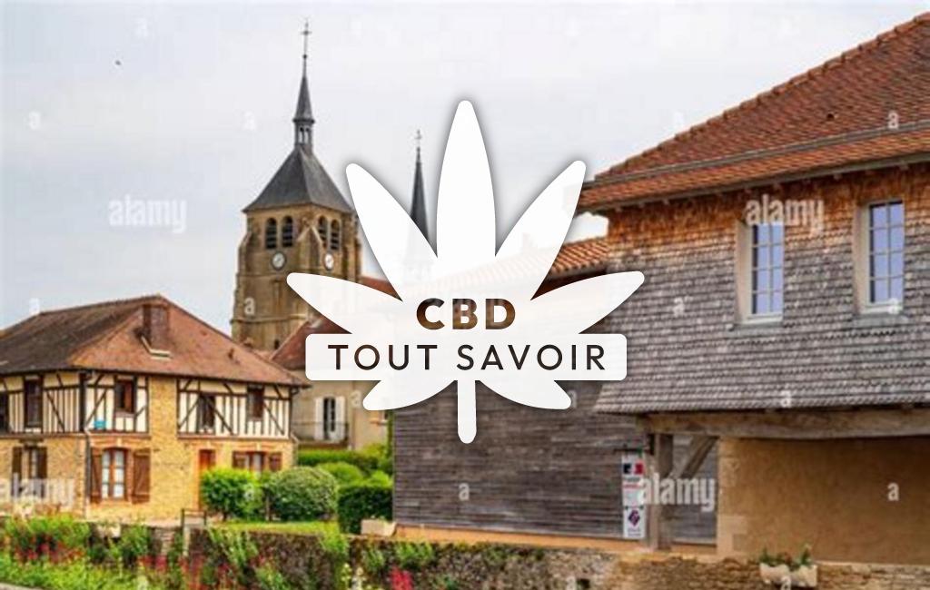 Village à Soulaines-Dhuys avec feuille Cannabis CBD