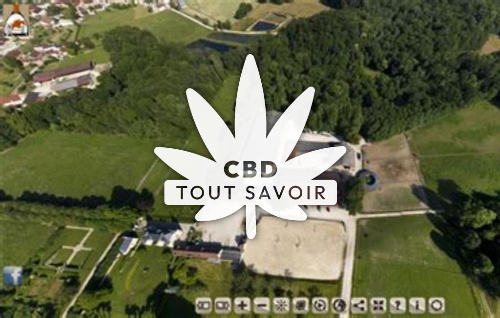 Village à Lagesse avec feuille Cannabis CBD