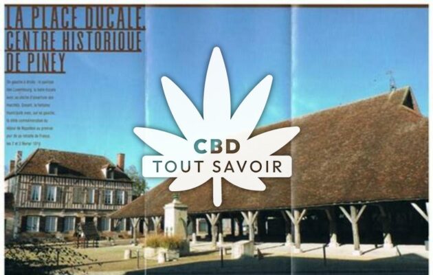 Village à Piney avec feuille Cannabis CBD