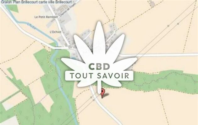 Village à Brillecourt avec feuille Cannabis CBD