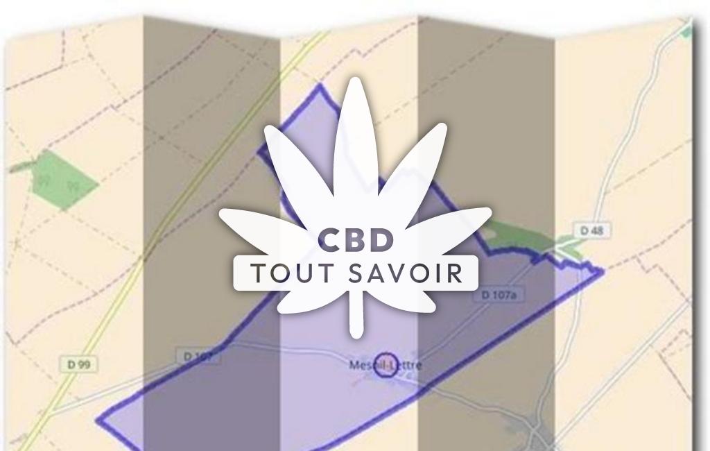 Village à Mesnil-Lettre avec feuille Cannabis CBD