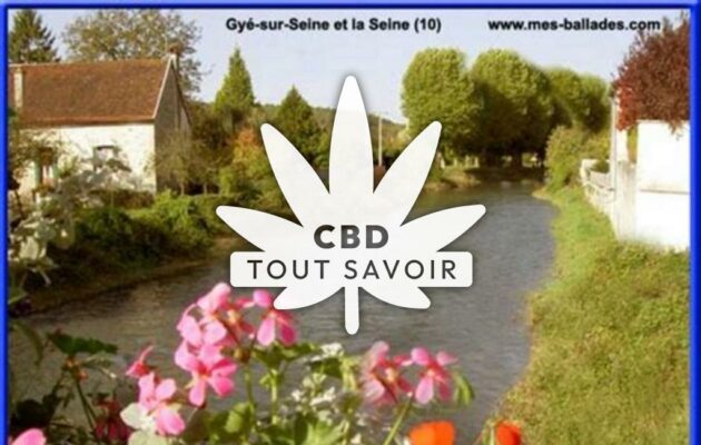 Village à Gye-sur-Seine avec feuille Cannabis CBD