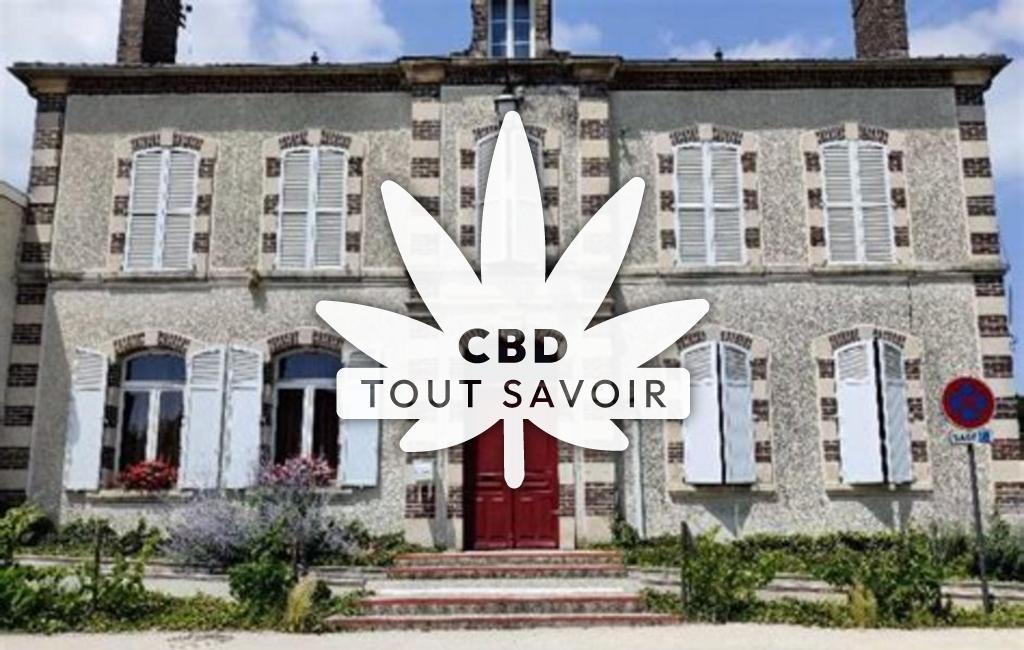 Village à Saint-Parres-les-Vaudes avec feuille Cannabis CBD