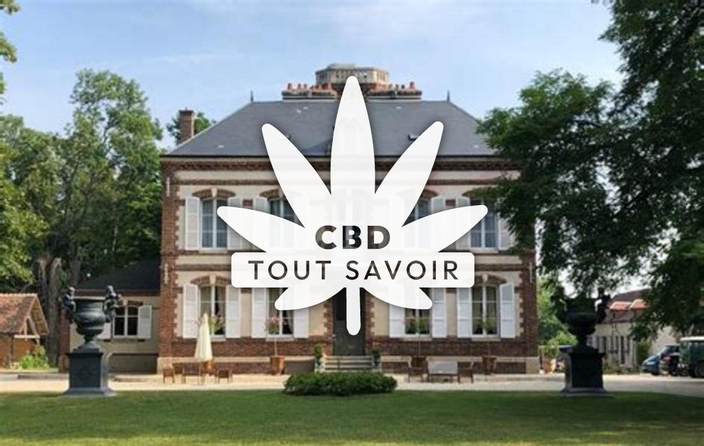 Village à Montaulin avec feuille Cannabis CBD