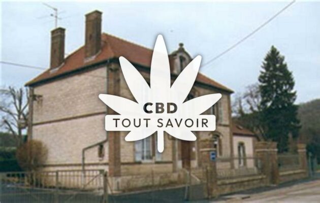 Village à Javernant avec feuille Cannabis CBD