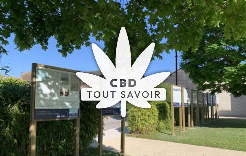 Village à Jeugny avec feuille Cannabis CBD