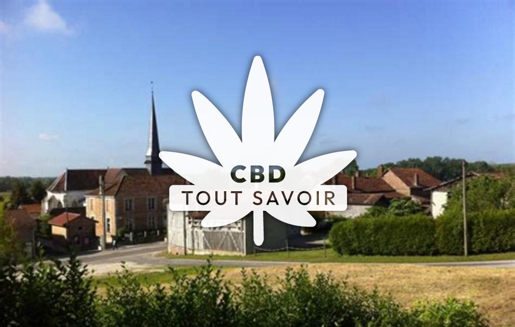 Village à Montmorency-Beaufort avec feuille Cannabis CBD