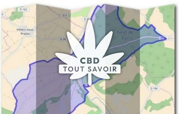 Village à Arrelles avec feuille Cannabis CBD