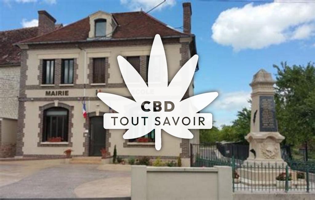 Village à Le-Pavillon-Sainte-Julie avec feuille Cannabis CBD