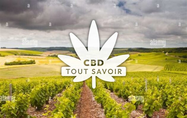 Village à Noe-les-Mallets avec feuille Cannabis CBD