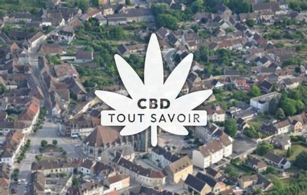 Village à Villenauxe-la-Grande avec feuille Cannabis CBD