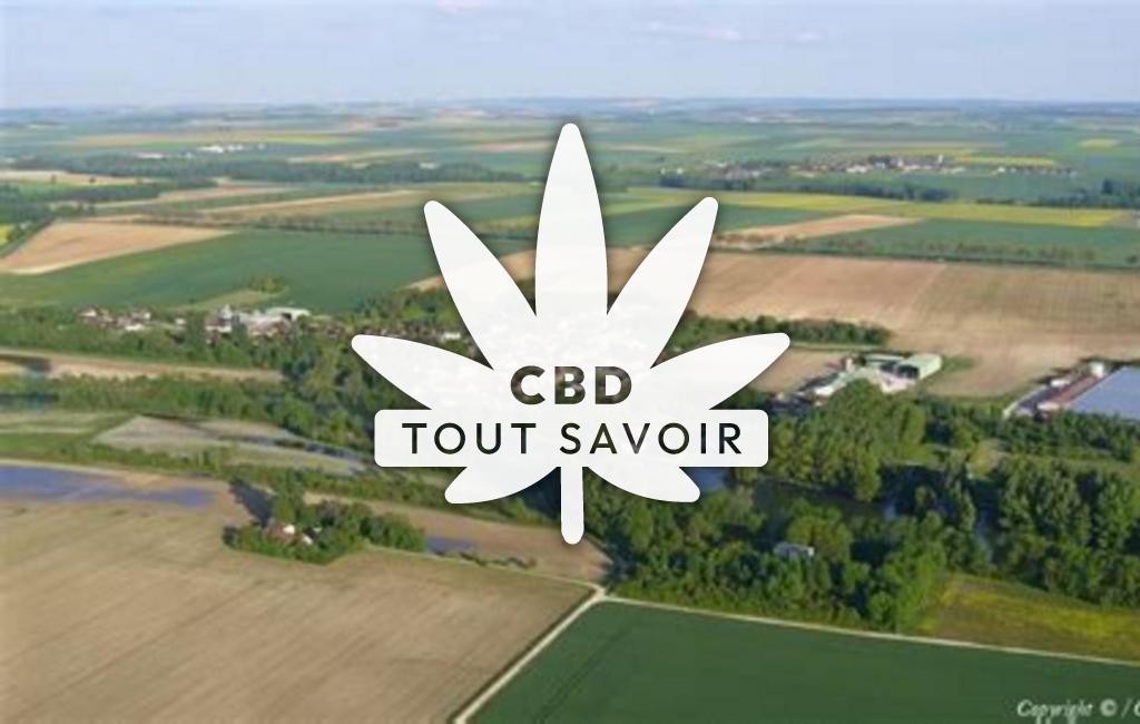 Village à Courceroy avec feuille Cannabis CBD