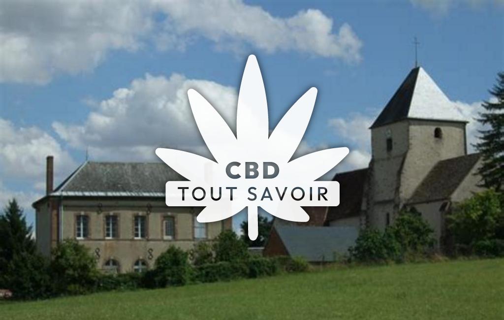 Village à Ferreux-Quincey avec feuille Cannabis CBD