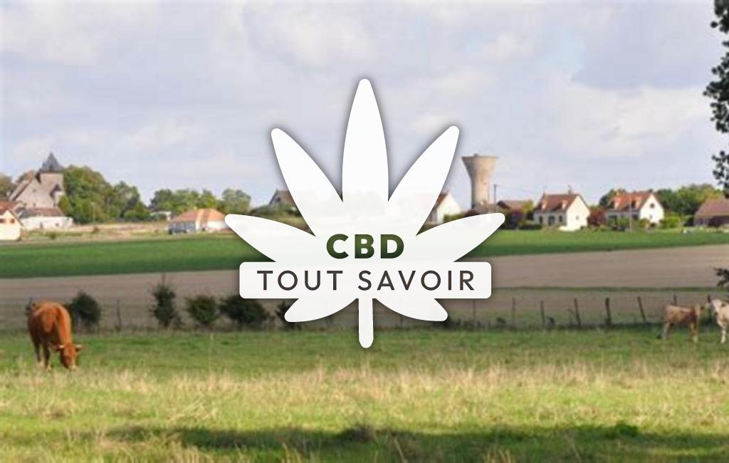 Village à Gumery avec feuille Cannabis CBD